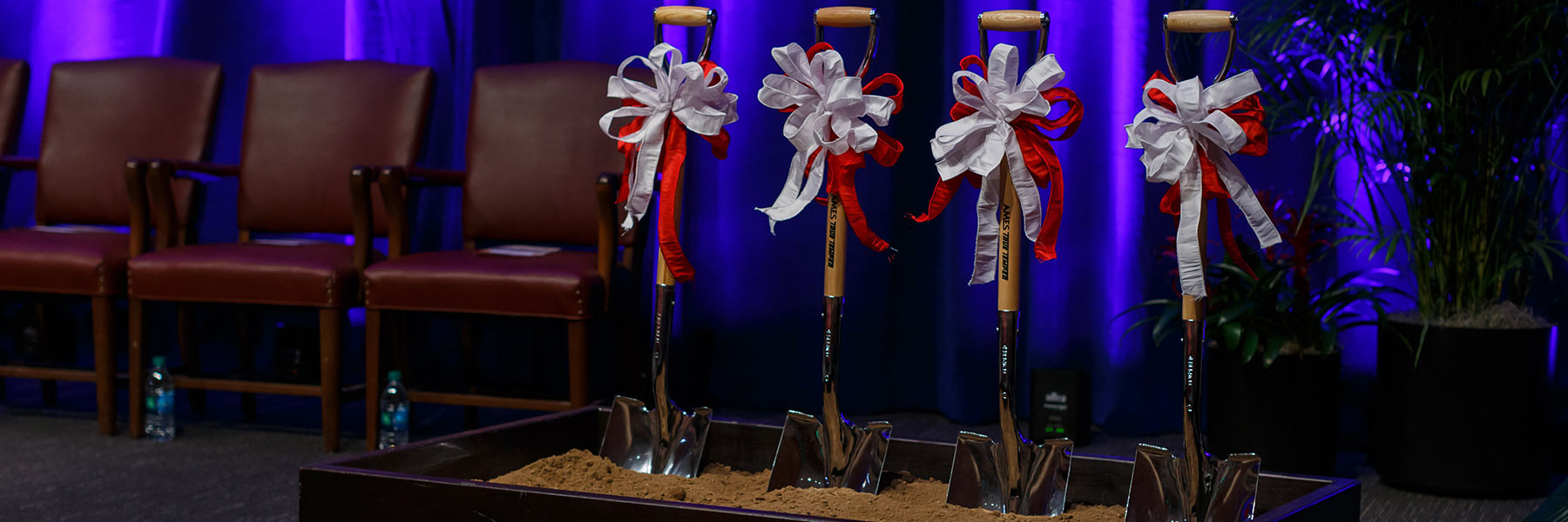 Four shovels with white and red bows stand in a box of dirt awaiting the start of a groundbreaking ceremony.